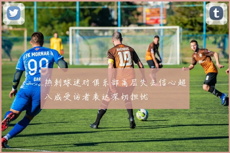 热刺球迷对俱乐部高层失去信心超八成受访者表达深切担忧