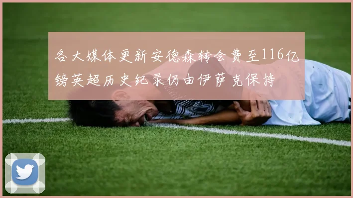各大媒体更新安德森转会费至116亿镑英超历史纪录仍由伊萨克保持